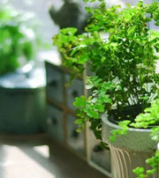 开封专属于你的开运指南，助你鸿运当头福满身！