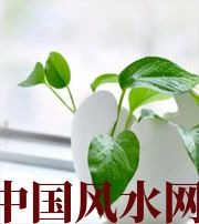 开封家中摆放六种吉祥物，会打开您的财运大门！